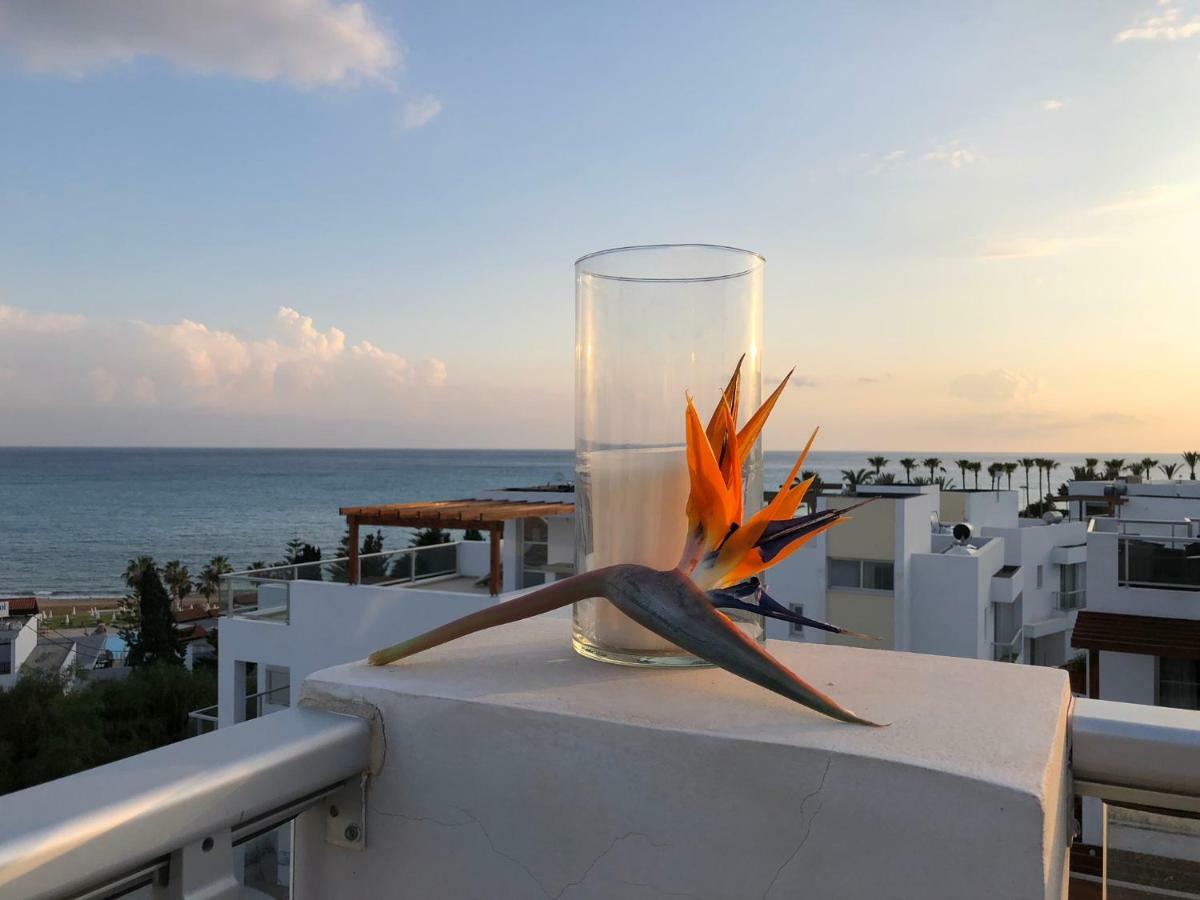 Marina View Villa 11 Peyia Exterior photo